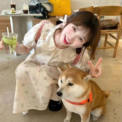 对不起，我爱你